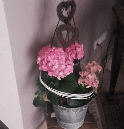 Le Vauban * Neuf-Brisach