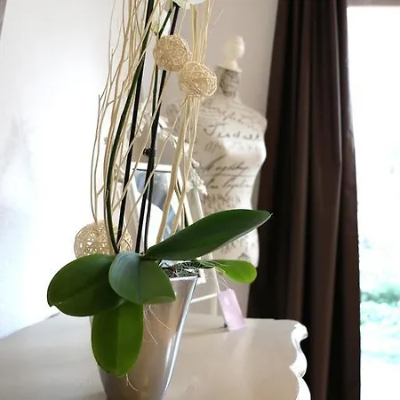 Appartement Le Vauban Neuf-Brisach