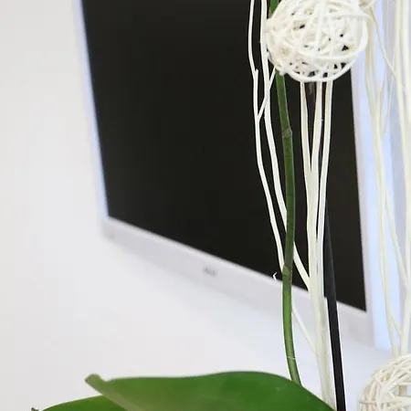 Le Vauban Appartamento Neuf-Brisach