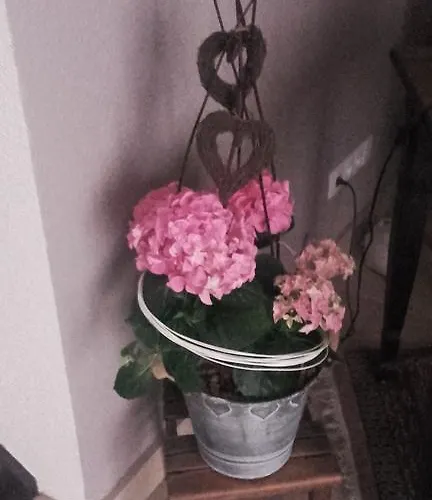 Le Vauban * Neuf-Brisach