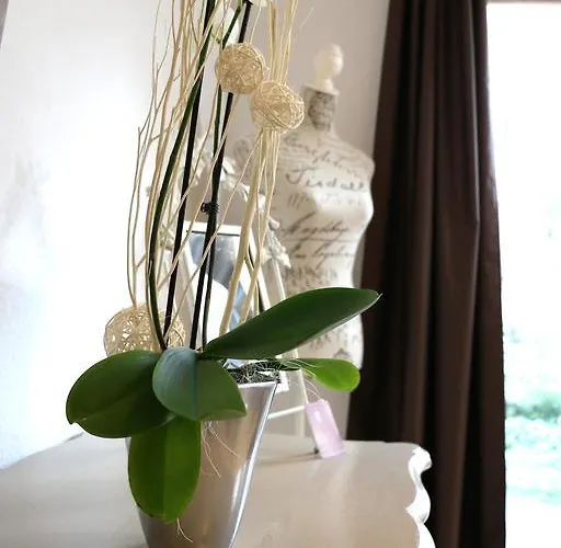 Appartement Le Vauban Neuf-Brisach