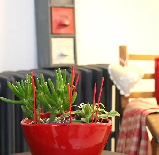 Appartement Le Vauban Neuf-Brisach