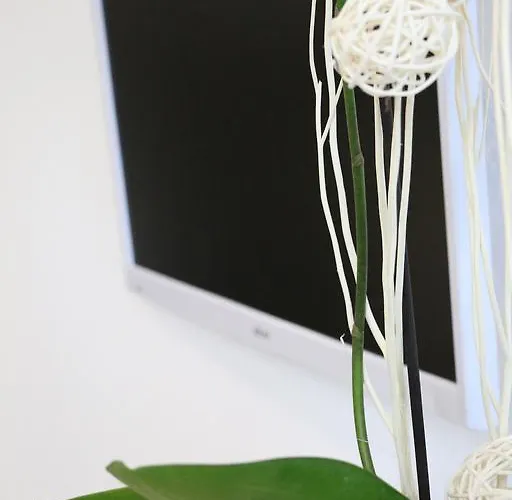 Le Vauban Appartement Neuf-Brisach